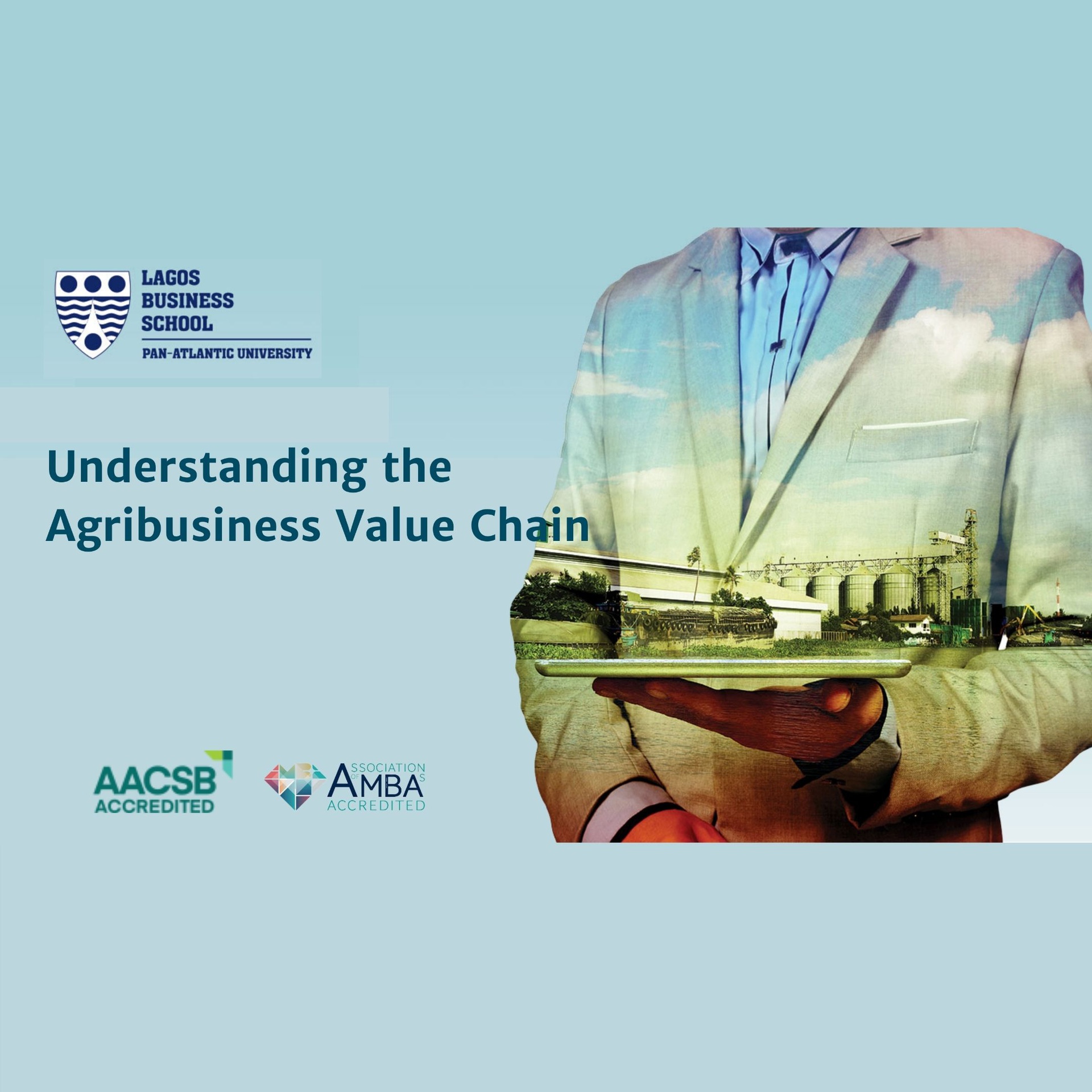 Understanding the Agribusiness Value Chain