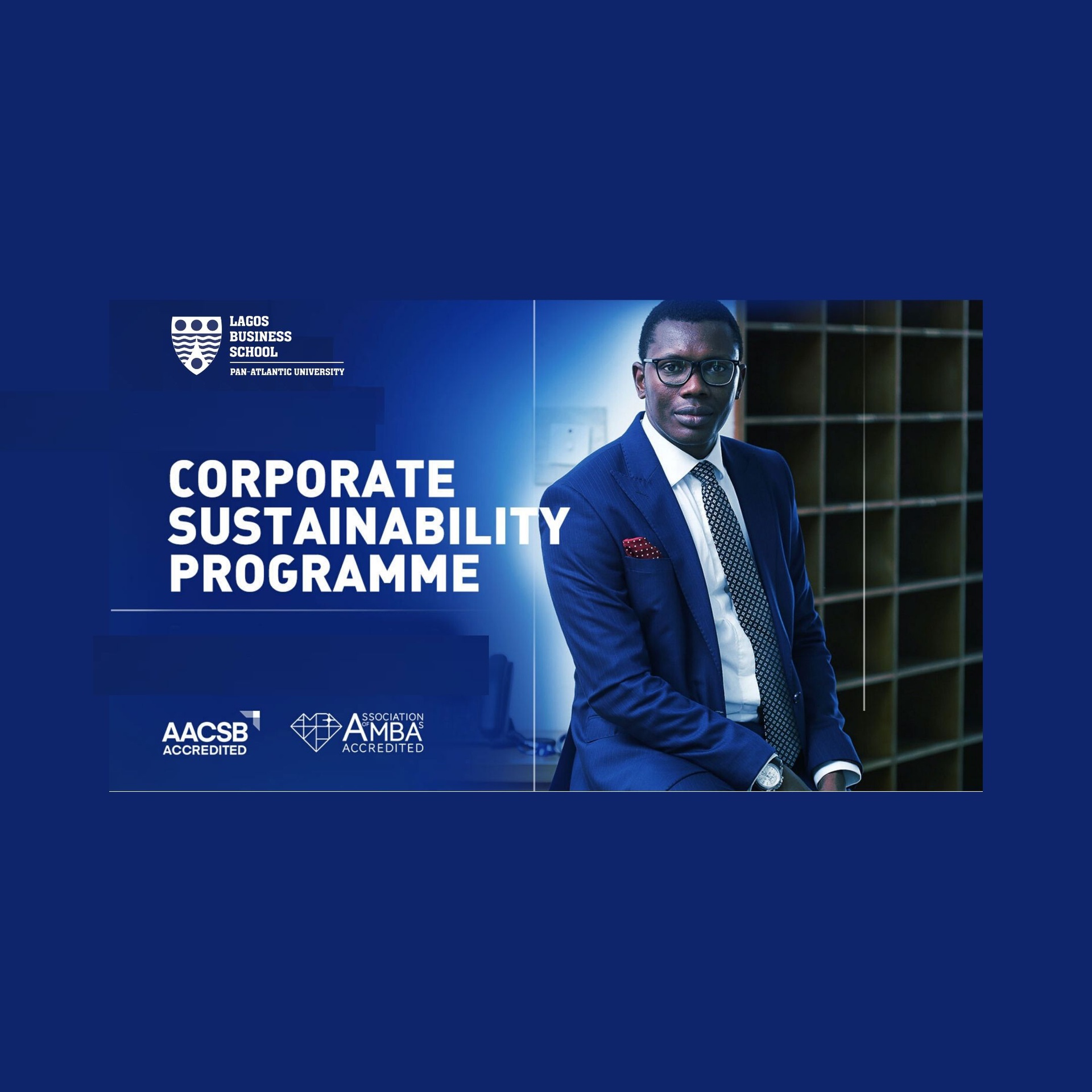 Corporate Sustainability Programme