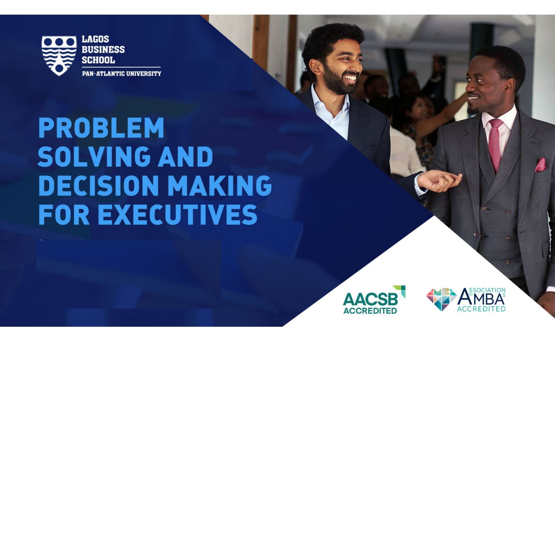 Problem Solving and Decision Making for Executives