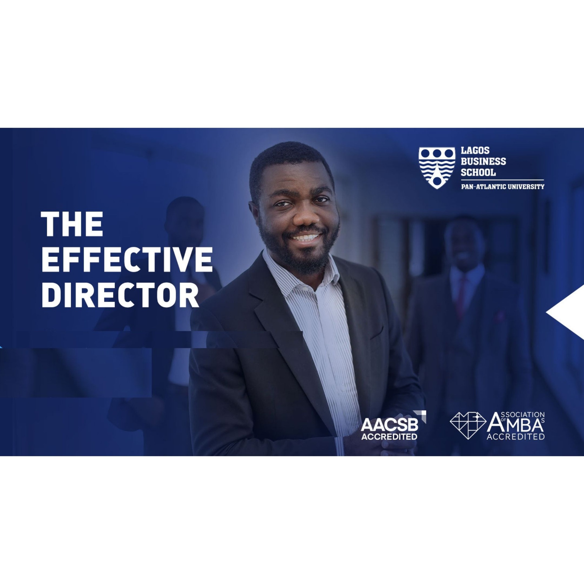 The Effective Director