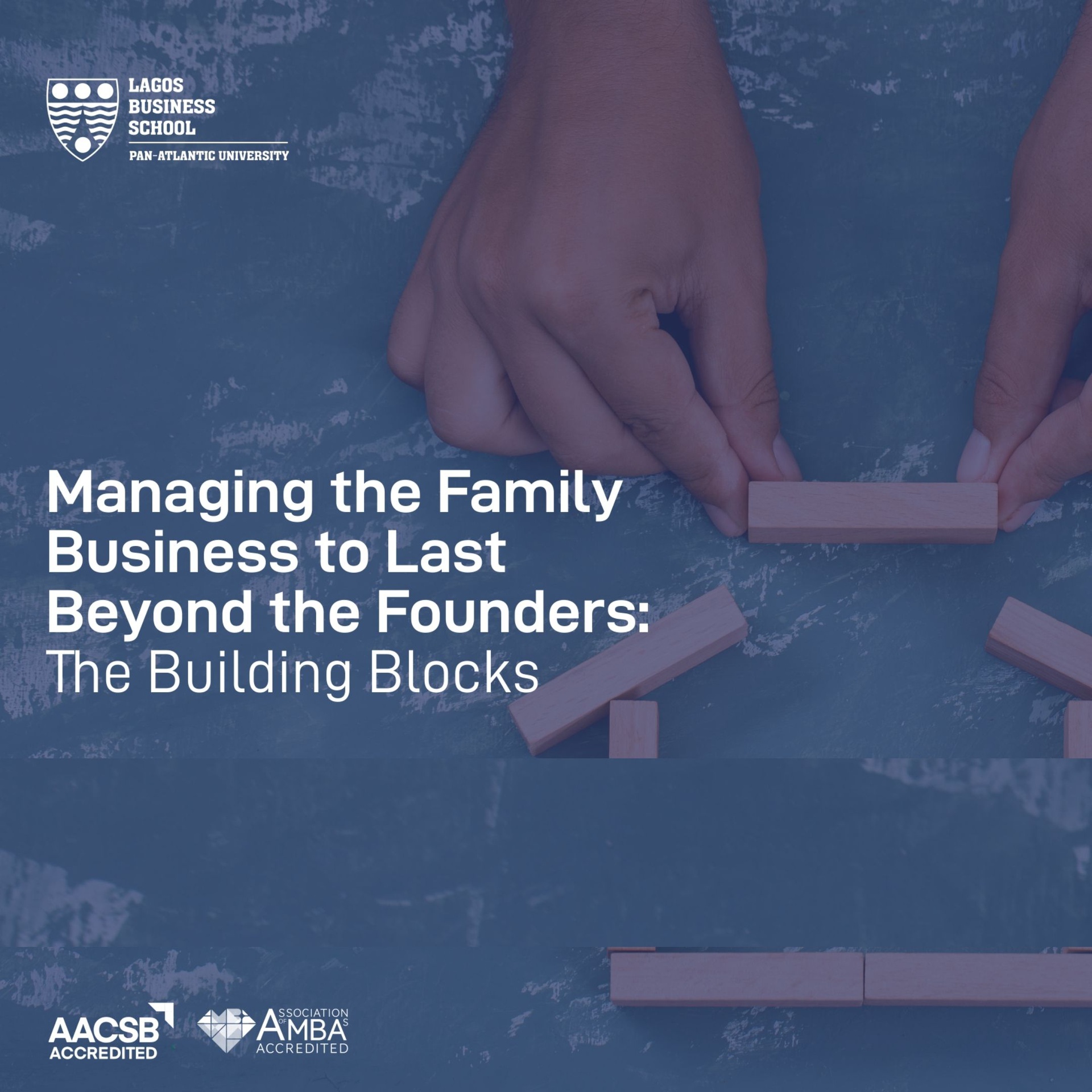 Managing the Family Business to Last Beyond the Founders: The Building Blocks